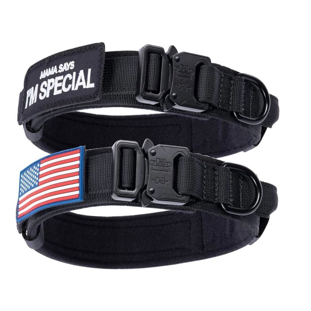 Dog collar size small US American Flag national emblem & Mama Says I'm Special​